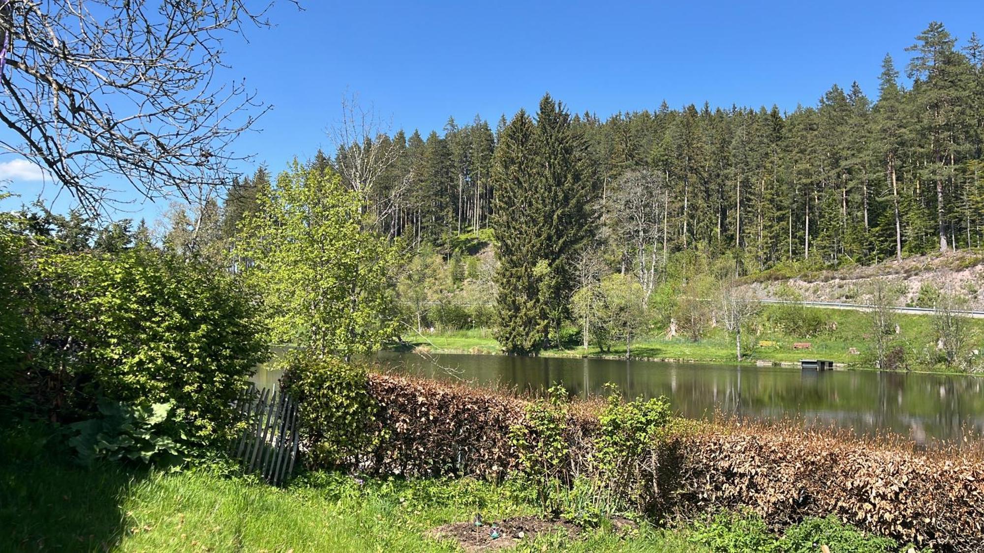 Haus Am See - Natur Pur Friedenweiler Luaran gambar