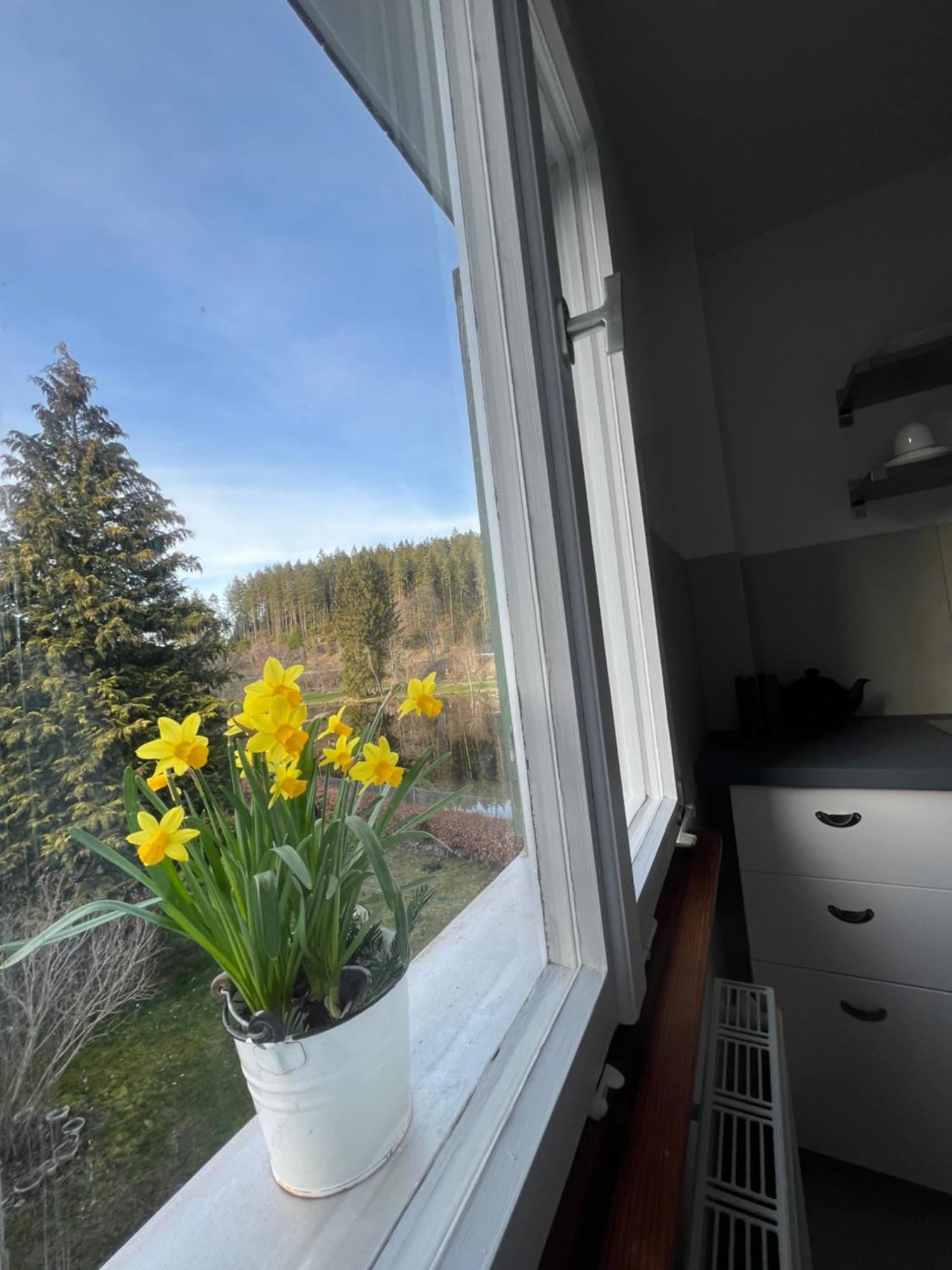 Haus Am See - Natur Pur Friedenweiler Luaran gambar