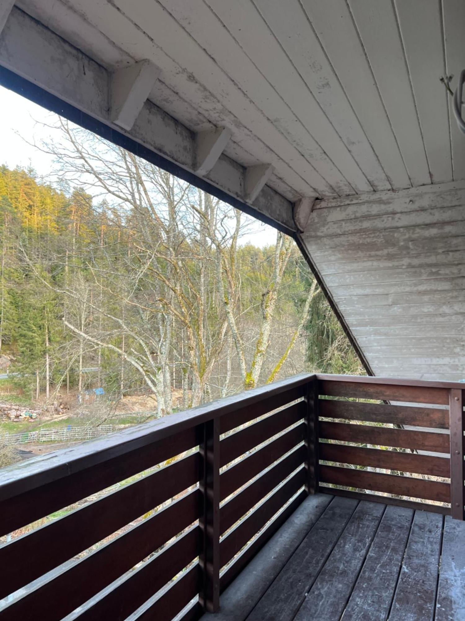 Haus Am See - Natur Pur Friedenweiler Luaran gambar