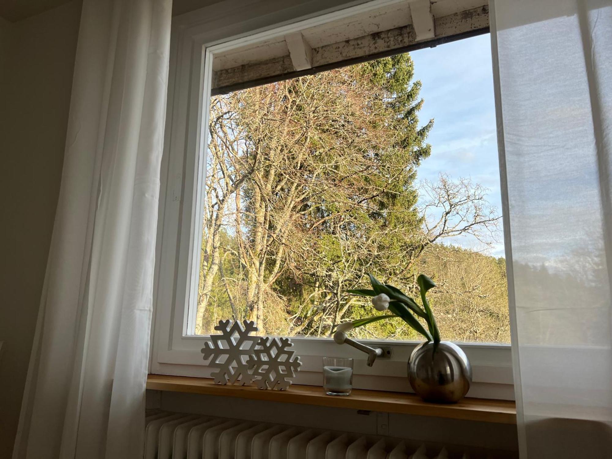 Haus Am See - Natur Pur Friedenweiler Luaran gambar