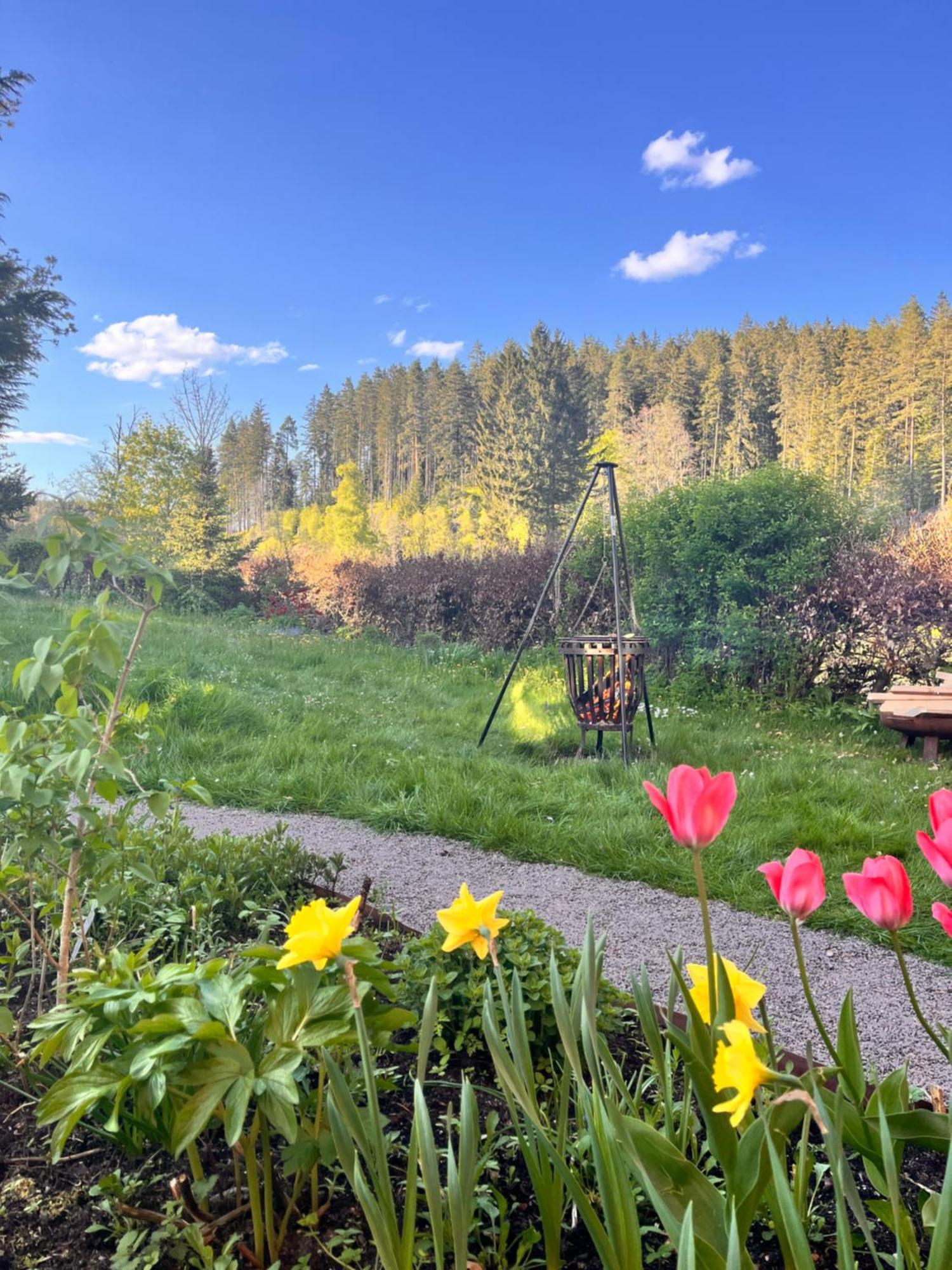 Haus Am See - Natur Pur Friedenweiler Luaran gambar