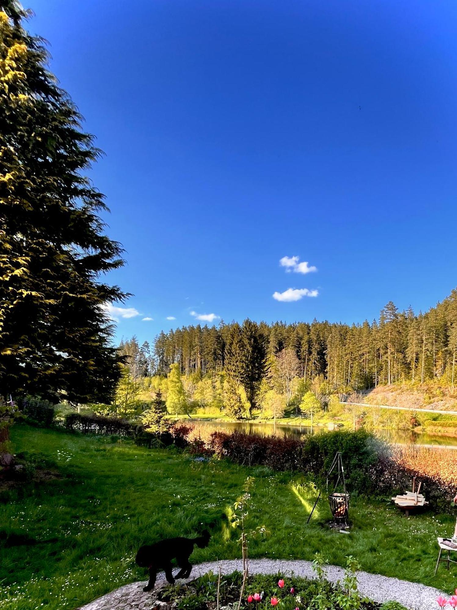 Haus Am See - Natur Pur Friedenweiler Luaran gambar